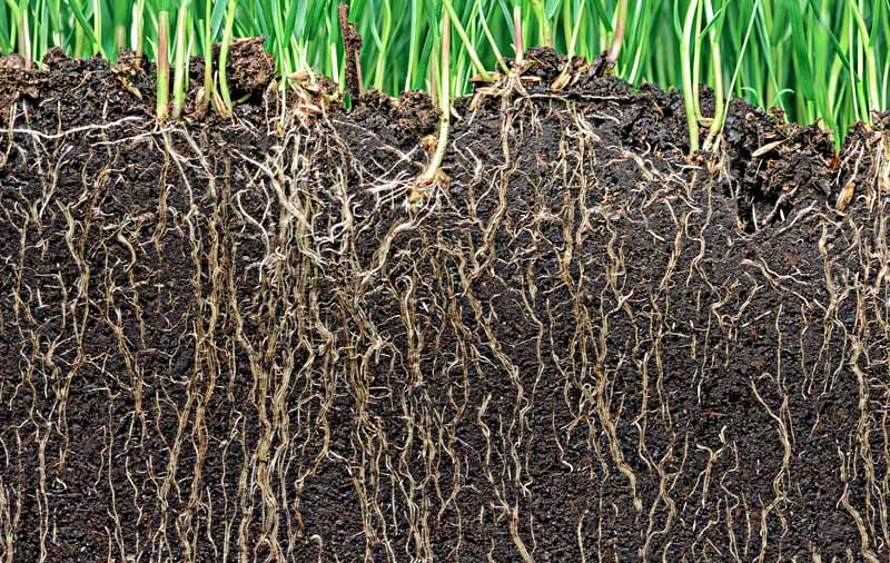 مدیریت مصرف آب در مزرعه با افزایش مواد آلی خاک