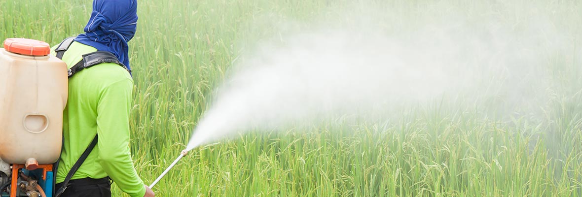 Nano-based smart pesticide formulations: Emerging opportunities for agriculture